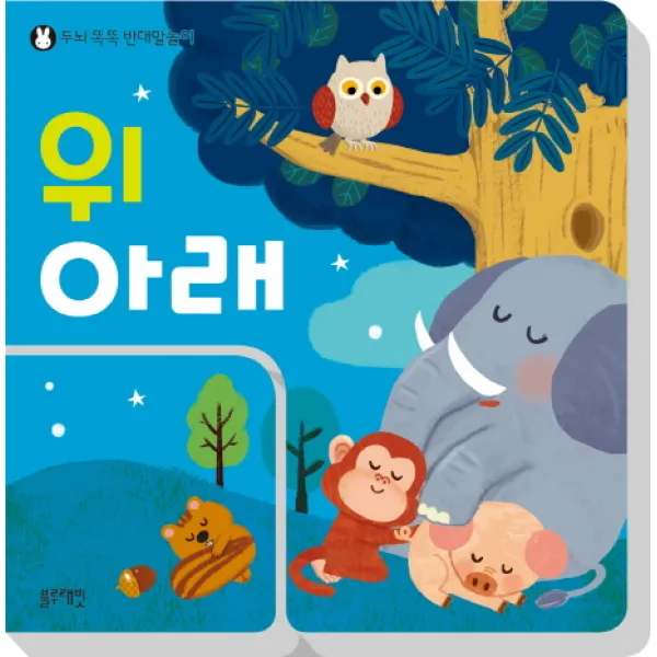 위 아래:두뇌 똑똑 반대말놀이, 블루래빗