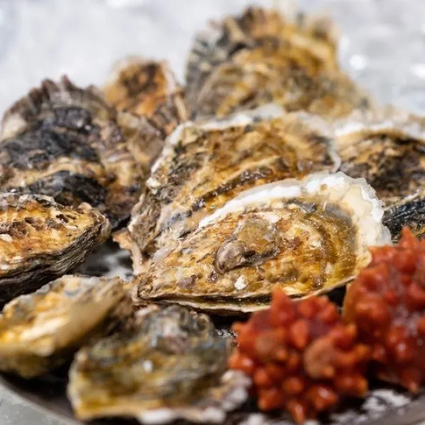 (무료배송)성혼수산 사계절 통굴/개체굴/삼배체굴 (사계절용), 3~8미, 1kg