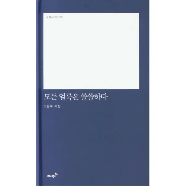 모든 얼룩은 쓸쓸하다:오은주 시집, 시와반시, 오은주