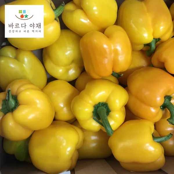 바르다야채 노랑파프리카(특) 1kg 3kg 5kg