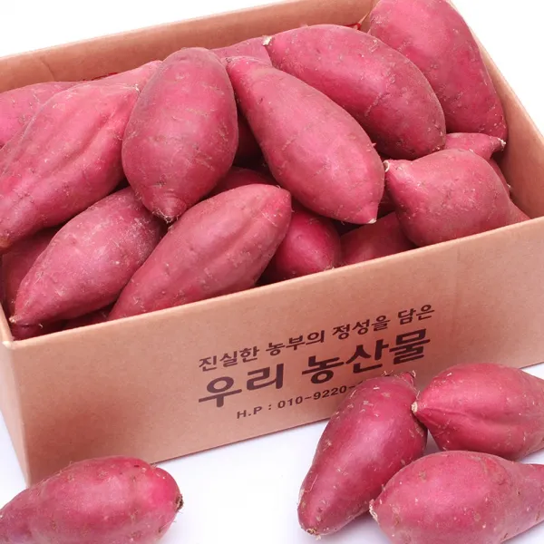직거래농민장터 베니하루카 세척 꿀고구마, 세척 꿀고구마 10kg 긴특.긴상