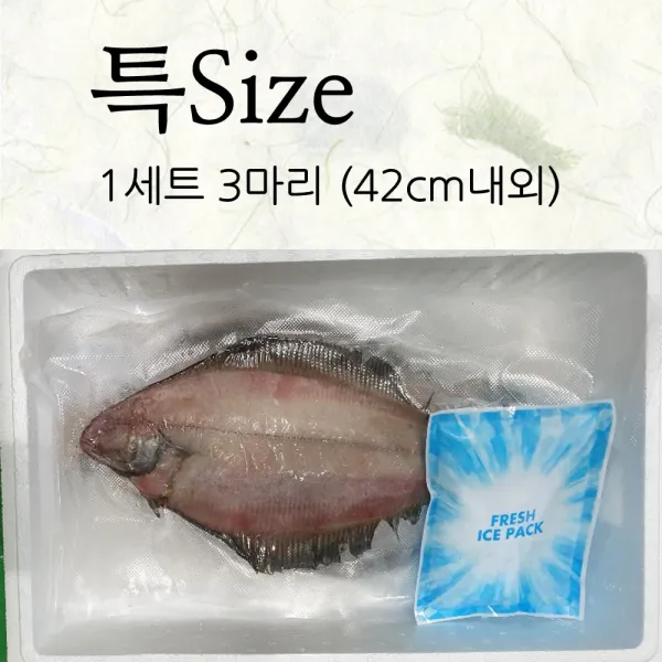 동해 영덕 해풍 반건조 가자미 마른생선 가재미 소 중 대 특 사이즈, 1box, 반건조 가자미 특품 (42cm내외) 3마리