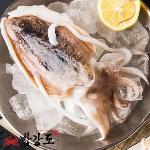 밥강도 군산 손질 갑오징어(급냉)1미(350g), 단품