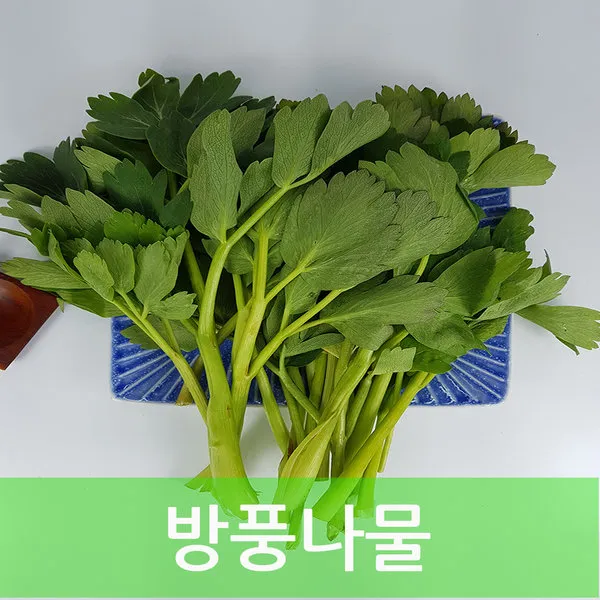 방풍나물 4kg 발품장터 단일상품