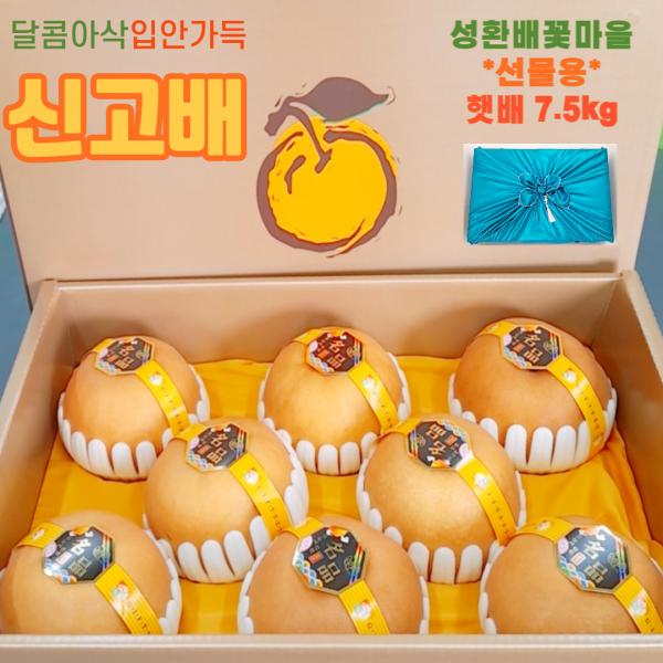 [성환 배꽃마을] 신고배/ 햇배 /7.5kg /(7-9과)/ 정품) 과일선물세트/ 특품