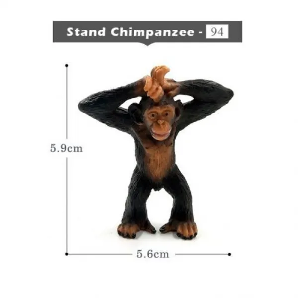 [해외] 사슴 Warthog 살쾡이, Stand Chimpanzee