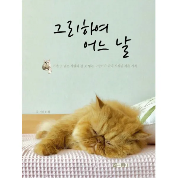 그리하여 어느 날:기댈 곳 없는 사람과 갈 곳 없는 고양이가 만나 시작된 작은 기적, 아라크네