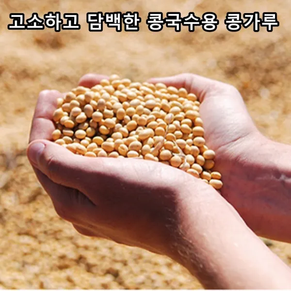 리소하우스 고소한 담백한 콩비린내 없는 간편한 백태 서리태 콩국수용 콩가루 850gx3봉, 3봉, 850g