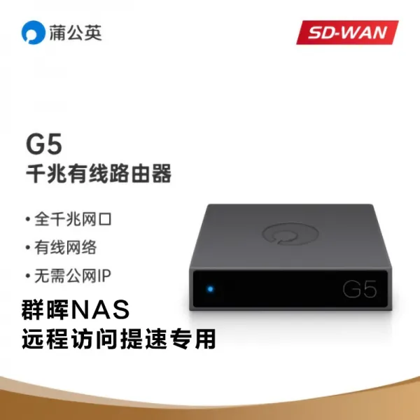 공유기 민들레 G5 VPN 가상 조 네트안 그물 관통 디스켓 맵이다 많다 땅 사무실 판 다크 2645818827, 민들레 G5 타향 네트워크를 구성함