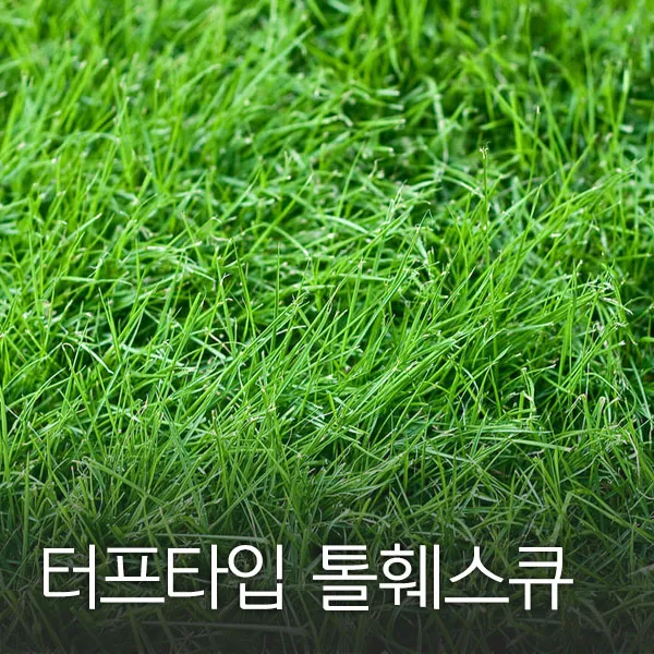 코리아팜 터프타입 톨훼스큐500g