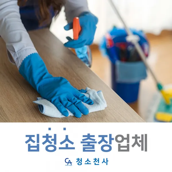 청소도우미 거주청소도우미 거주청소용역 거주청소인력 거주청소구인 소형평수가사도우미 집청소인력 집청소인력구인 집청소업체추천 집청소인력비용 원룸집청소 투룸집청소 쓰리룸집청소 집청소전문