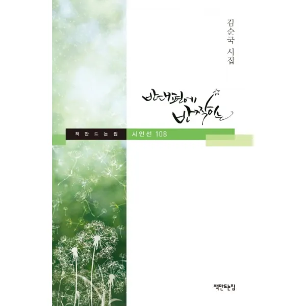 반대편에 반짝이는:김순국 시집, 책만드는집