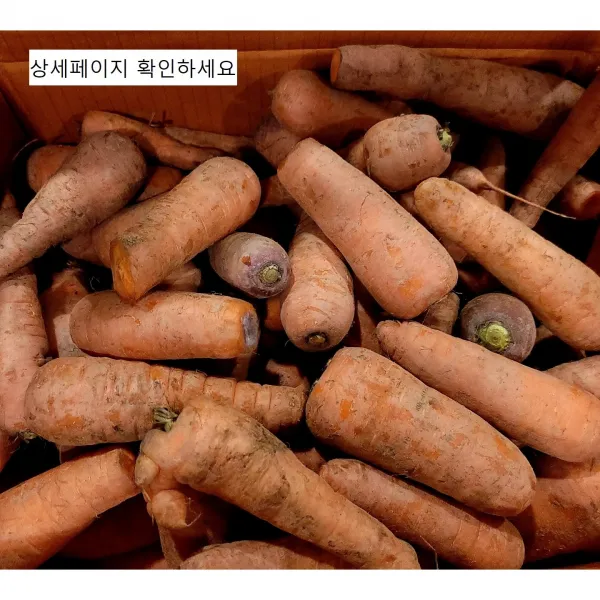 [푸드팜] 국산 바로 갈아먹는 못난이 당근, 못난이 당근 3kg x 1box