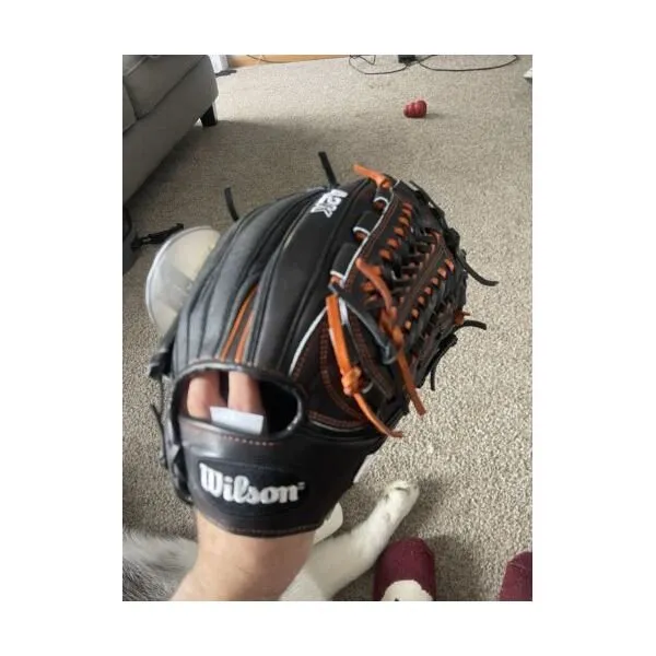 Wilson 야구 글러브를 훔치다