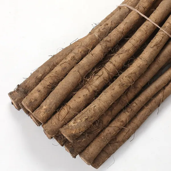 신선함 그대로 서안동농협 생우엉 2kg 생우엉 특상품 2kg