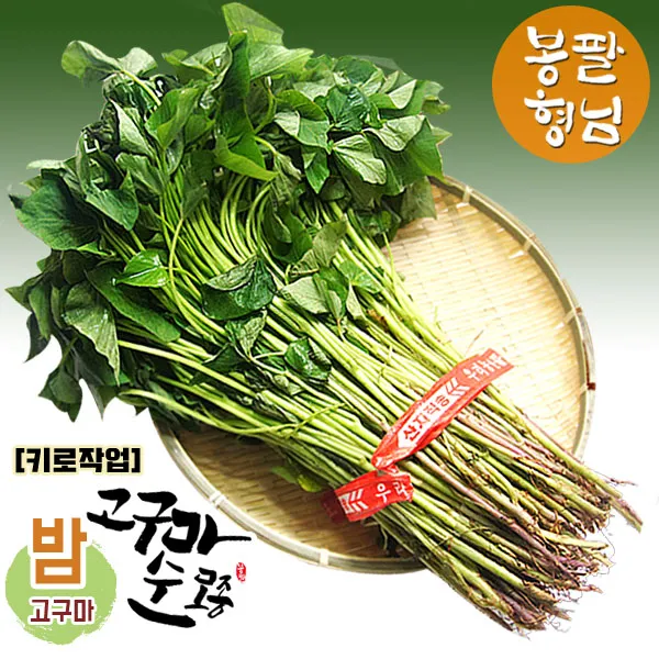 봉팔형님 밤고구마 모종 (키로작업), 1박스, 10kg