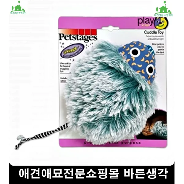 활동력왕성한애완동물자유롭게뛰노는원반장난감 반려견행동교정