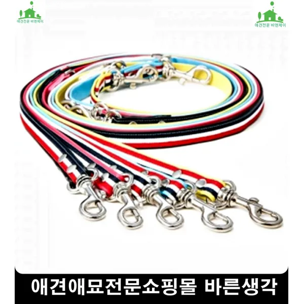 눈더러운애완동물눈물관리돕는 시츄눈물 애완동물눈세정제 말티즈눈물, 1개
