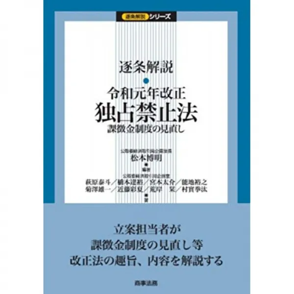 축조 해설 令和 원년 개정 독점 금지법 - 과징금 제도의 재검토 (축조 해설 시리즈), 단일옵션, 단일옵션