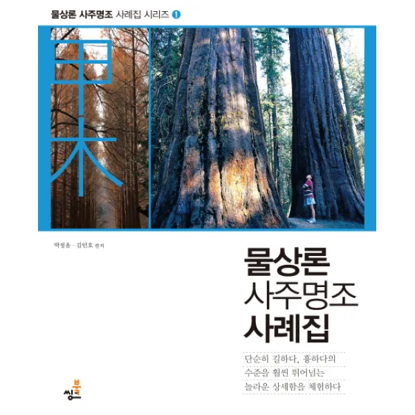 물상론 사주명조 사례집: 갑목, 북씽크