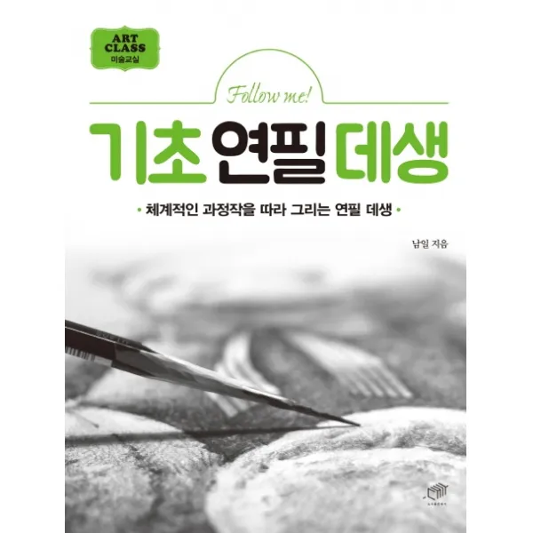 Follow me! 기초연필데생:체계적인 과정작을 따라 그리는 연필 데생, 대가