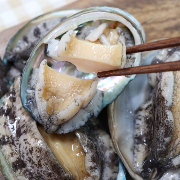 청년감별사 완도 활 전복, 1박스, 특1k 7미내외