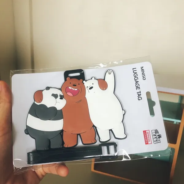 강아지기내용가방 한눈에 찾아내다 자신 의케이스 꾸러미 ! 화이트곰 갈색곰 판다 책가방 캐리어 측정 네임테그 탑승 탁송, T02-타입 B