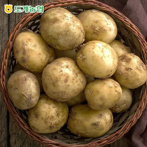  농협 강원도 수미감자 20kg 특 없음 상세설명 참조