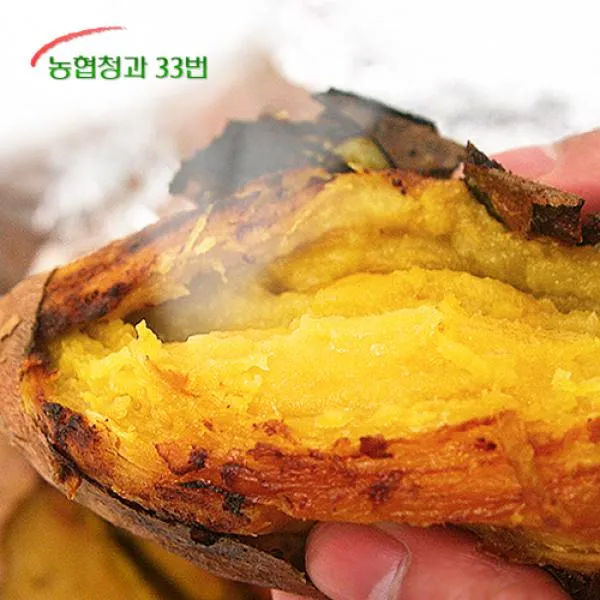 농협 [농협청과33번] 당도높은 꿀고구마 5kg 특/상, 1