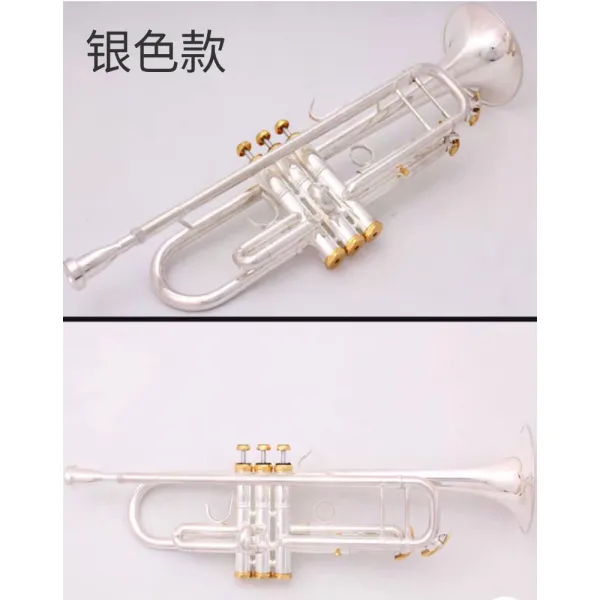 트럼펫 바흐 스몰사이즈 197업그레이드 시리즈 은도금 내림 B조 악기 초보자 연주, T03-LT197GS-98(은색 타입)