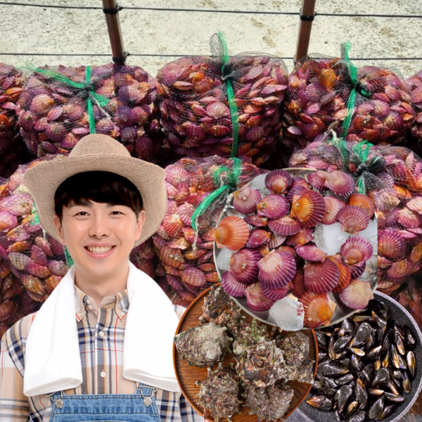 먹사부 [산지직송] 통영 활 비단 홍 가리비 홍합 뿔소라 캠핑 찜용 조개구이 세트 국산 왕 1kg 2kg 3키로 5킬로