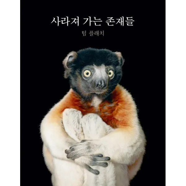 사라져 가는 존재들, 팀 플래치, 소우주