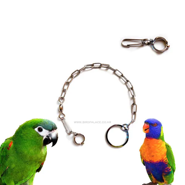 앵무새 Bird 발목링 8호(한스마카우 로리앵무) 앵무새발목링 앵무새하네스 한스마카우발목링 로리앵무발목링 하네스 새발목링 앵무새목줄 새목줄