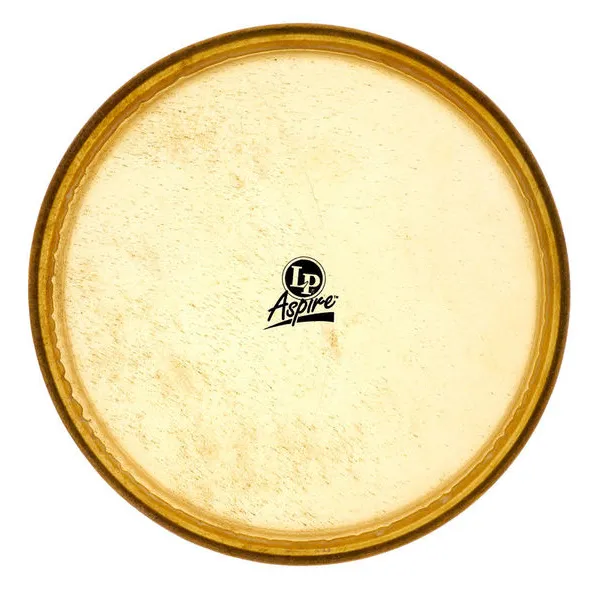 Lp A640c 12" Conga Head Aspire Lp의 A640c 12 "콩가 헤드 갈망