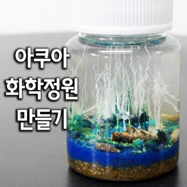 규산소다 화학실험 물속 정원만들기 5인 과학교구 조립 원리이해