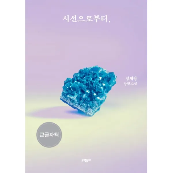 시선으로부터(큰글자책):정세랑 장편소설, 정세랑 저, 문학동네