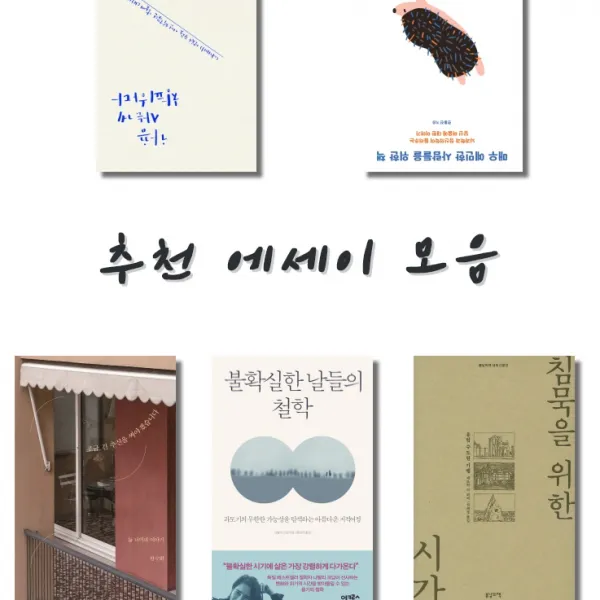불확실한 날들의 철학 침묵을 위한 시간 가끔 사는 게 창피하다 매우 예민한 사람들을 위한 책