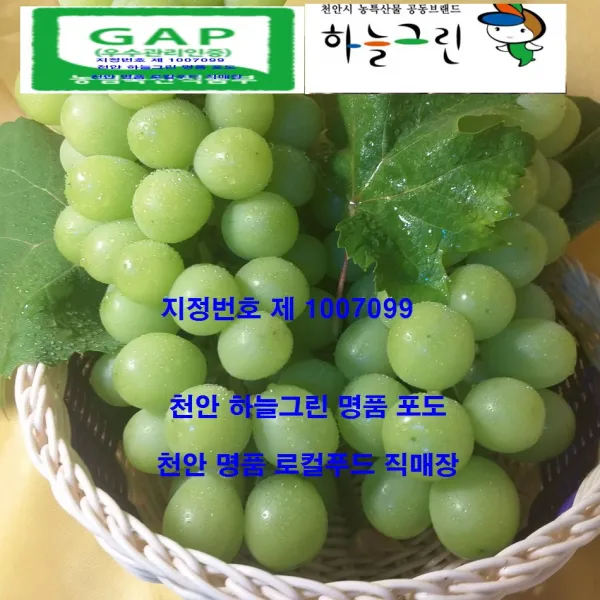 천안 명품 포도의 여왕 샤인마스캇+왕거봉(경매가 판매 당일수확) 한번에 두가지 맛을 느껴보세요, 1box, 1kg