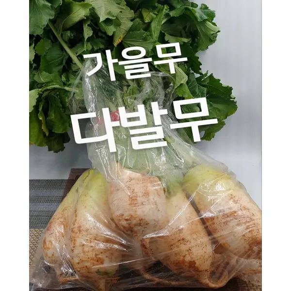 무 다발무 가을무 1단 7kg 내외 발품장터, 단일상품