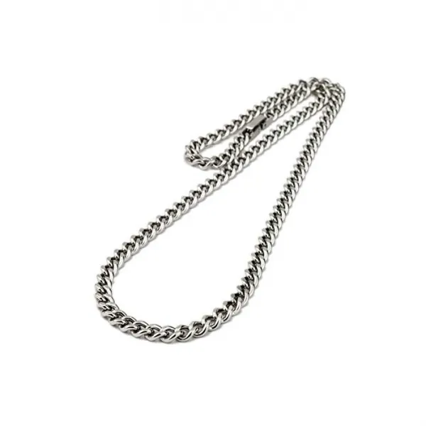 e- 보석상 티타늄 키 헤이 목걸이 2면 잘라 50cm 5.7mm 폭 남성 IP (정제) TITAN 금속 알레르