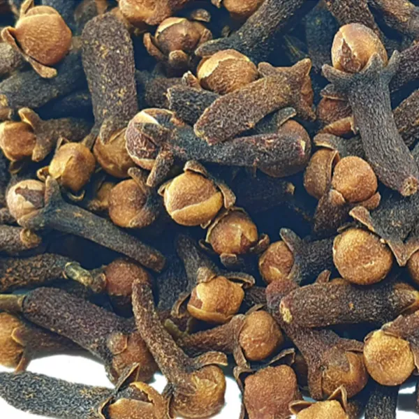 대용량 정향 600g 도강 1