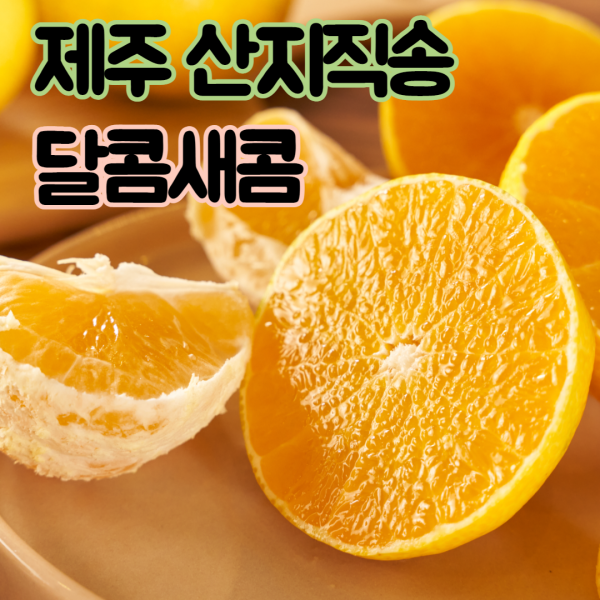국민농수산 제주 황금향 애월 노지 하우스 귤 3kg 5kg, 황금향 3kg 가정용