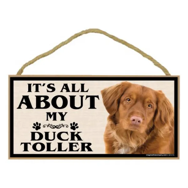 Imagine This Wood Breed Sign It's All About My Duck Toller 이 나무 품종 표시를 상상해보십시오. 1