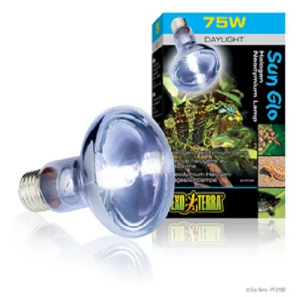 엑소테라 할로겐 스팟램프50w 75w, 1개
