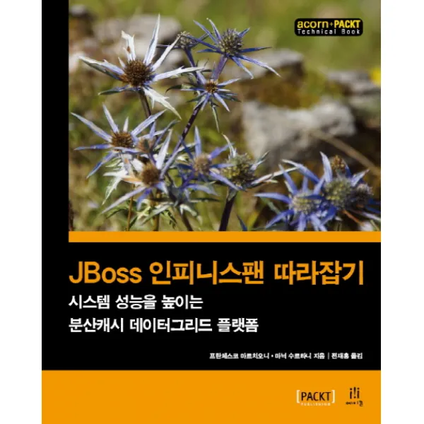 Jboss 인피니스팬 따라잡기:시스템 성능을 높이는 분산캐시 데이터그리드 플랫폼 에이콘출판