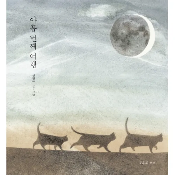 아홉 번째 여행, 오후의소묘