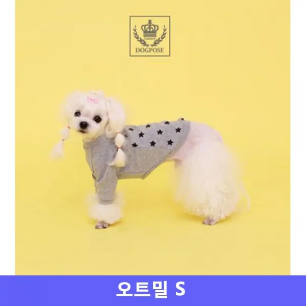 Oatmeal 별 의식덮개 모자애완견 T Point의상