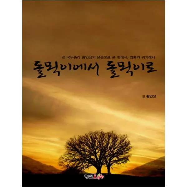  형설라이프 돌멕이에서 돌멕이로 전 국무총리 황인성의 온몸으로 쓴 현대사 영혼의 귀거래사