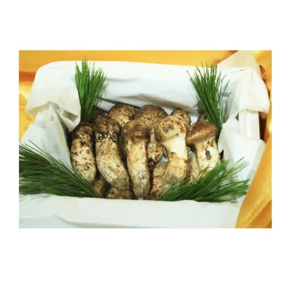 자연산냉동송이4등급 개산품1kg 울진금강송 송이선물 송이버섯