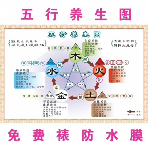 중의 음양 오행 도 해 인화 한의 양생 문화 지식 홍보 미용 원 포스터 걸다 그림 벽지 맞 춤 제작 도화지 70 촌
